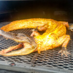 2016 Houston Barbecue Festival - Day Of