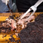 2016 Houston Barbecue Festival - The Barbecue