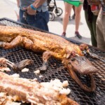2016 Houston Barbecue Festival - The Barbecue