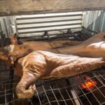 2016 HOUBBQ Festival - Night Cook