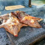 2018 Houston Barbecue Festival