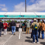 Barbecue lineup