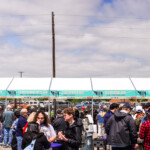 Barbecue lineup